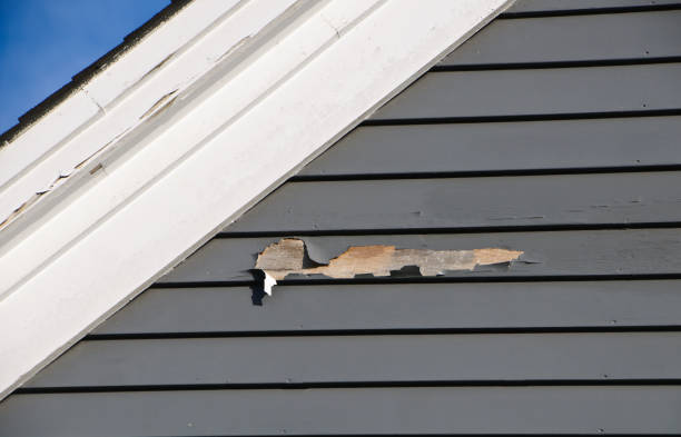 Best Demolition Debris Removal  in Whitg, IN